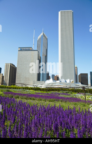 Chicago Illinois fleurs fleurissent au Lurie Garden partie de Parc du Millénaire et sur les toits de la ville Pavillon Pritzker Banque D'Images