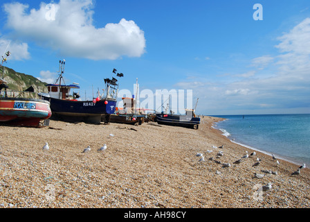 Bateaux de pêche sur la plage, le Stade, la vieille ville de Hastings, Hastings, East Sussex, Angleterre, Royaume-Uni Banque D'Images