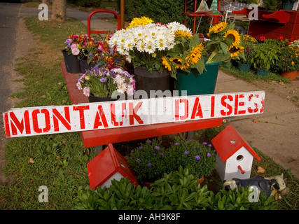 Un stand de fleurs dans East Hampton NY Banque D'Images