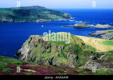 Ned Burroo falaises de l'île Calf of Man Kitterland Island Île de Man UK Banque D'Images