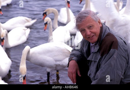 David Attenborough avec des cygnes Banque D'Images