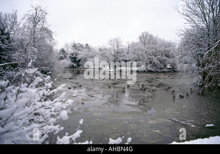 Lac de Dulwich Park gelé en hiver dans le sud de Londres Banque D'Images