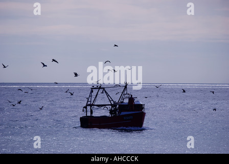 Bateau de pêche rentrer au port, Côte Sud, Hastings, East Sussex, Angleterre, Royaume-Uni Banque D'Images
