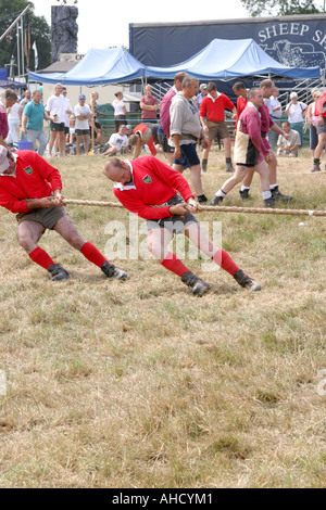 L'équipe de souque Cranleigh Show Août 2006 Banque D'Images