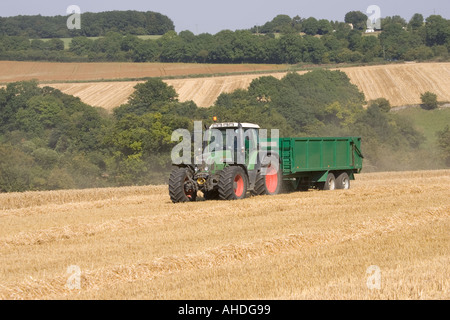 Tracteur et remorque transportant du blé à partir de la moissonneuse-batteuse, Cotswolds près de Winchcombe UK Banque D'Images