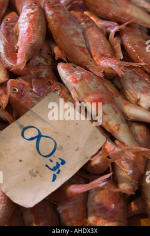 Tripoli (Libye). Marché aux poissons, Rashid Street Banque D'Images