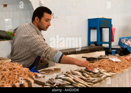 Tripoli (Libye). Marché aux poissons, Rashid Street Banque D'Images