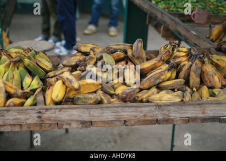 La Havane Cuba des bananes à un marché Banque D'Images