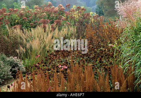 Pensthorpe Octobre jardin du millénaire d'échinacée et de graines de graminées Veronicastrum designer Piet Oudolf calamagrostis miscanthus Banque D'Images