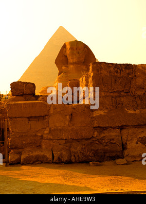 Le Sphinx et pyramide de Khafré en lumière dorée Banque D'Images