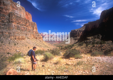 'Grand Canyon' 'Bright Angel Trail' ascension du Grand Canyon National Park Arizona usa u s a America north Banque D'Images