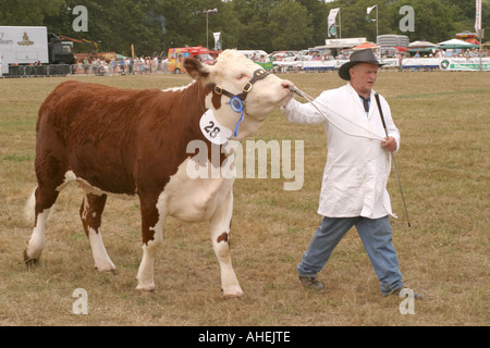 Le Cranleigh Show Août 2006 Banque D'Images