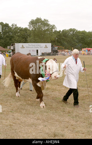 Le Cranleigh Show Août 2006 Banque D'Images