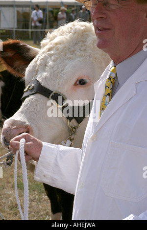 Le Cranleigh Show Août 2006 Banque D'Images