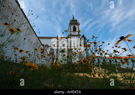 Le monastère de St Martin de Tibaes Mosteiro de São Martinho de Tibaes situé dans la mire de Tibaes près de Braga au nord du Portugal Banque D'Images