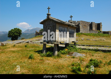 Anciens greniers granites construits au-dessus du sol appelé Espigueiros dans le village Lindoso au Parc National Parque Nacional da Peneda Geres au nord du Portugal Banque D'Images