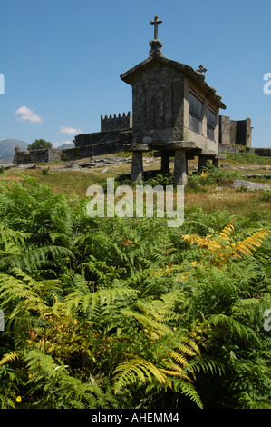 Anciens greniers granites construits au-dessus du sol appelé Espigueiros dans le village Lindoso au Parc National Parque Nacional da Peneda Geres au nord du Portugal Banque D'Images