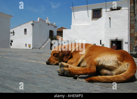 Vue sur le village médiéval de Monsaraz fortifiée qui se dresse sur une colline sur la marge droite de la rivière Guadiana en Alentejo, Portugal Banque D'Images