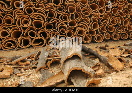 Morceaux d'écorce de chêne-liège de arbre dans Portugal Banque D'Images