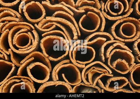 Morceaux d'écorce de chêne-liège de arbre dans Portugal Banque D'Images