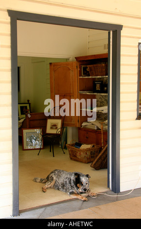 Boutique d'antiquités à Bangalow dans l'arrière-pays de Byron Bay NSW Australie Banque D'Images