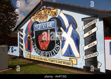 Murales loyalistes dans la région de Dalby inférieur est protestant Belfast Irlande du Nord Ulster Newton Jeune Jeune militant Banque D'Images