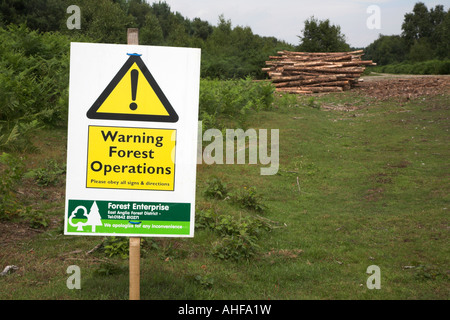 Les opérations de la commission des forêts La forêt de Rendlesham, Suffolk, Angleterre, RU Banque D'Images