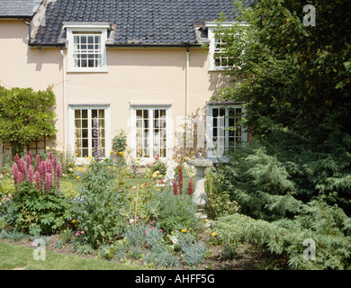 Lupins roses et de petits conifères poussant dans le jardin d'été en face de la frontière, maison de crème Banque D'Images