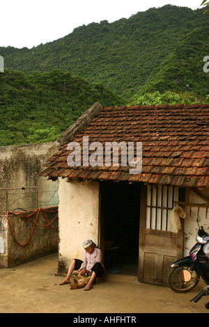 Toilettage chien femme âgée à l'extérieur chambre au Vietnam Banque D'Images