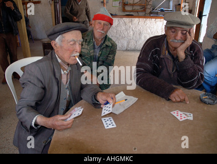 Les hommes dans le village de Saribelen dans le sud de la Turquie de jouer aux jeux sur le chat et la socialisation dans le café bar. Banque D'Images