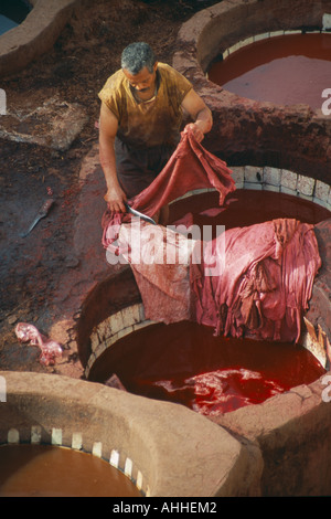 Fes Maroc Banque D'Images