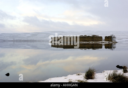 Château de Lochindorb, Lochindorb, Royaume-Uni, l'Écosse, le Parc National de Cairngorms, Strathspey Banque D'Images