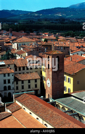 Vue sur le Mercato de la Torre Guinigi, Lucca, Italie. Banque D'Images