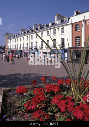 Géraniums colorés rouges Torquay sur une large promenade à côté des bars du port intérieur et des cafés avec hébergement au-dessus de la journée ensoleillée dans le Devon Angleterre Royaume-Uni Banque D'Images