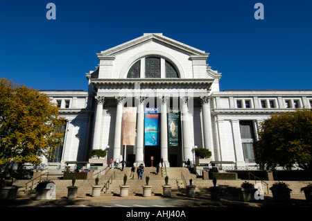 Le National Museum of Natural History, Washington DC, USA Banque D'Images