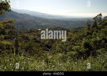 Paysage boisé avec de petites fermes, péninsule d'Osa, au Costa Rica Banque D'Images