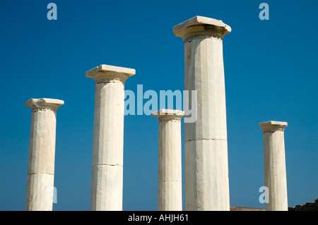 La Maison de Dionysos sur le théâtre Trimestre Delos Les Cyclades les îles grecques la Grèce l'Europe méditerranéenne Banque D'Images