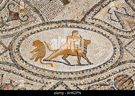 Détail de la mosaïque d'Hercule et Crétoise Bull à la Chambre des travaux d'Hercule dans les ruines de la ville romaine de Volubilis, Maroc Banque D'Images