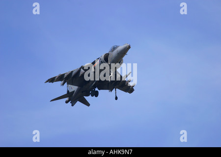 BAe Harrier GR7 Banque D'Images