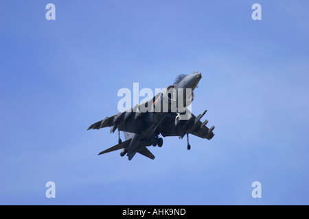 BAe Harrier GR7 Banque D'Images