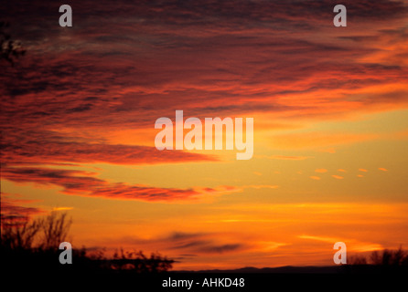 Altocumulus au coucher du soleil dans l'Essex, Angleterre Banque D'Images