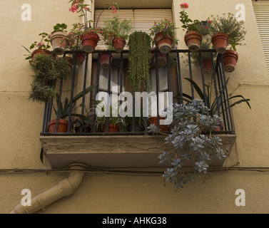 Cambrils Ville côtière dans la comarca du Baix Camp, province de Tarragone, Catalogne, Espagne Les cages à oiseaux dans les fenêtres et les balcons Banque D'Images