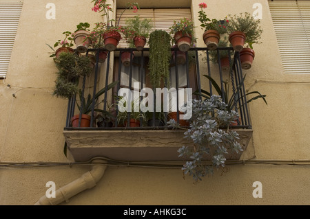 Cambrils Ville côtière dans la comarca du Baix Camp, province de Tarragone, Catalogne, Espagne Les cages à oiseaux dans les fenêtres et les balcons Banque D'Images