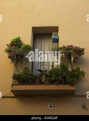 Cambrils Ville côtière dans la comarca du Baix Camp, province de Tarragone, Catalogne, Espagne Les cages à oiseaux dans les fenêtres et les balcons Banque D'Images