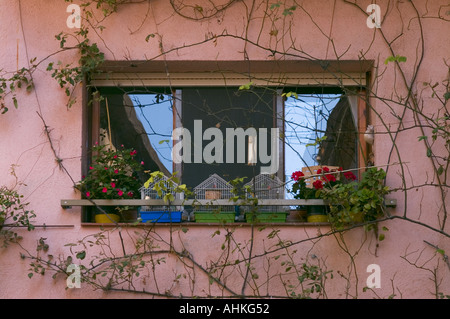 Cambrils Ville côtière dans la comarca du Baix Camp, province de Tarragone, Catalogne, Espagne Les cages à oiseaux dans les fenêtres et les balcons Banque D'Images