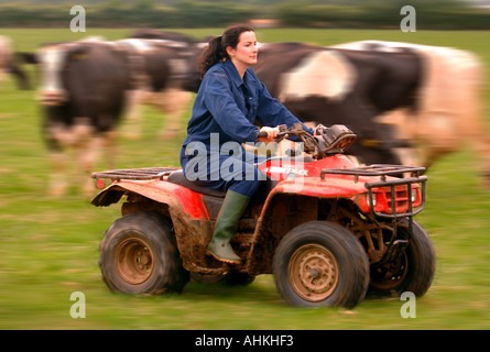 Une AGRICULTRICE ÉQUITATION QUAD sur une ferme laitière dans le Gloucestershire UK Banque D'Images