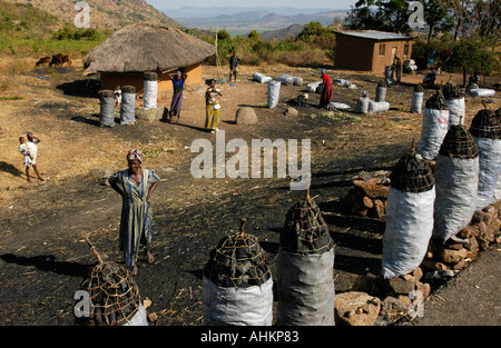 Afrique Kenya Tanzanie le charbon de feu brûlant du carburant Banque D'Images