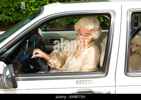 Senior woman and dog in car Banque D'Images
