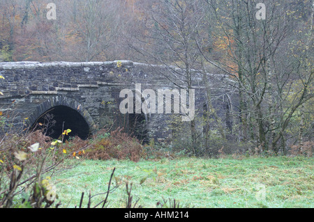 Greystones, pont sur la Rivière Tamar entre Devon et Cornwall South West England UK Grande-bretagne Europe Banque D'Images