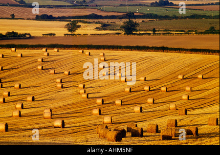 Bottes de foin dans la lumière du soir sur une ferme dans le Yorkshire du Nord Banque D'Images